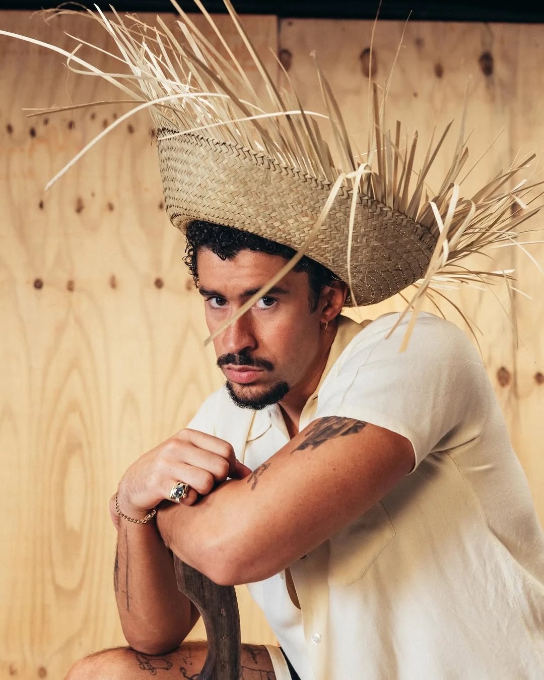 bad bunny.jpg (244 KB)