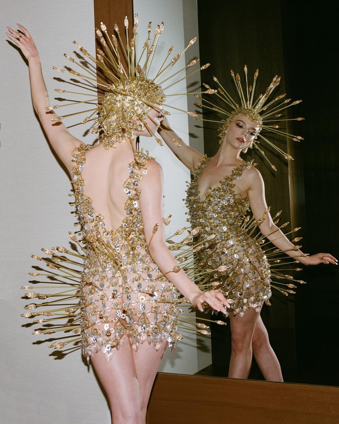 ania-teilor-dzoi-3.jpg (245 KB)